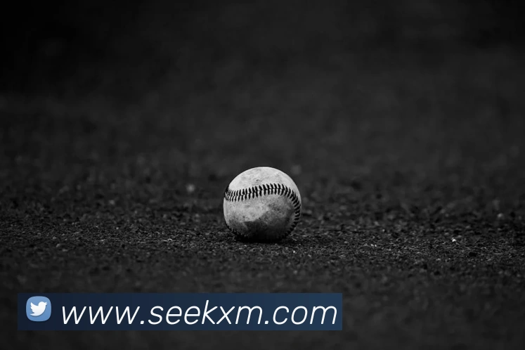 世界杯平台官网登录品牌故事