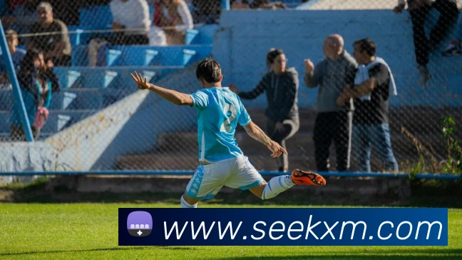 世界杯平台官网登录服务体系